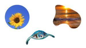 Progetto Canva cornici e trasparenza