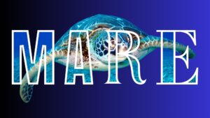 Progetto Immagine Canva Effetto 3D